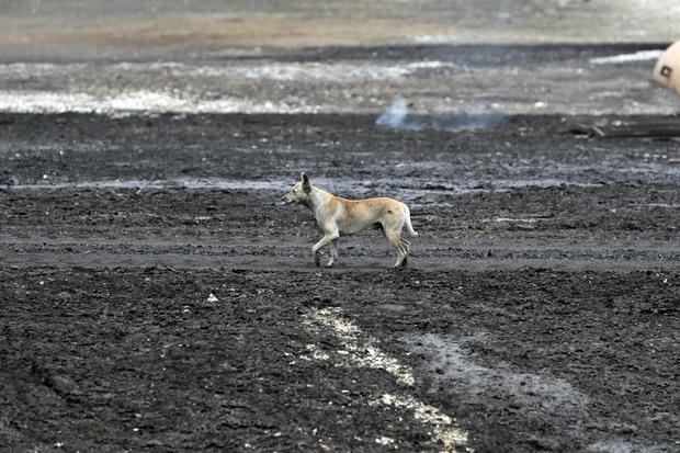 Rescatistas cubanos hallan más restos humanos en el lugar del incendio en Matanzas