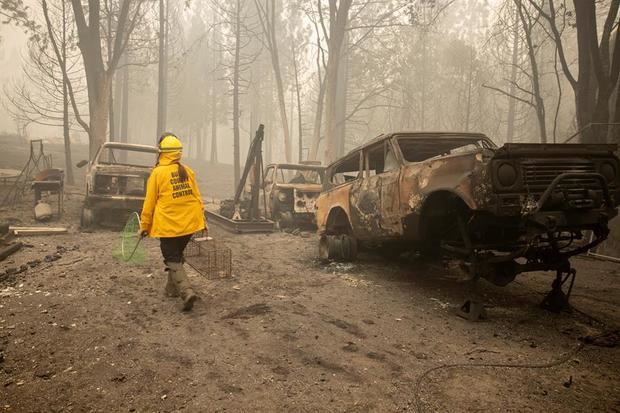 El incendio de North Complex lleva quemadas 102.000 hectáreas y ha destruido más de 2.000 edificios.