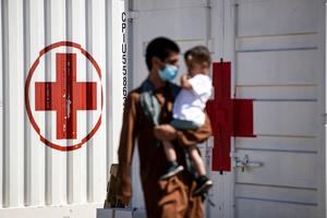 La Cruz Roja Internacional sufre robo de información sensible en ciberataque