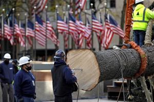 Llega a Nueva York el tradicional Árbol navideño del Rockefeller Center