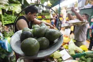 España, Chile y México, entre los principales destinos de la agroexportación de Perú