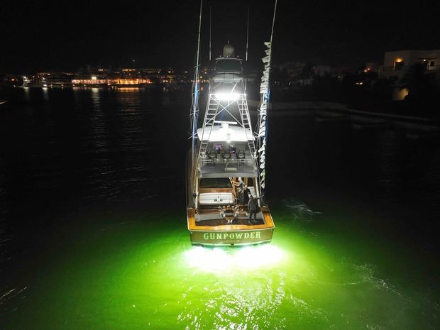 Marina Cap Cana impone récord atlántico de mayor liberación de marlin azul