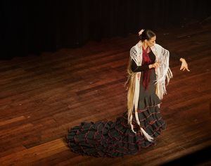 Ballet flamenco.