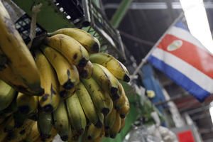 Paí­ses latinoamericanos cierran filas para defender su producción bananera