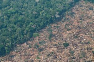 La devastación de las reservas indí­genas por la minerí­a crece 205 % con Bolsonaro