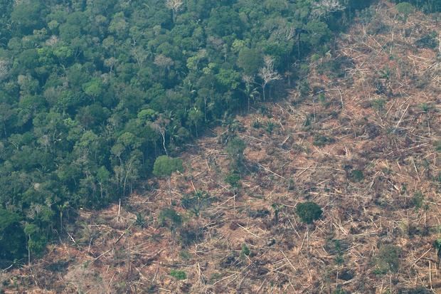 Vista de áreas deforestadas de la selva amazónica de Porto Velho, Rondonia (Brasil), en una fotografía de archivo.
