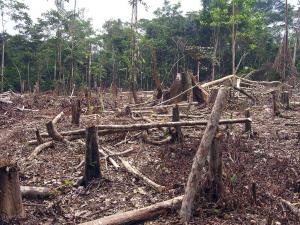 La naturaleza está en 