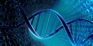 ‘Big Data’ para predecir el futuro