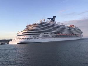 Carnival pide una solución "viable" para los cruceros en EE.UU. y evitar mudarse fuera