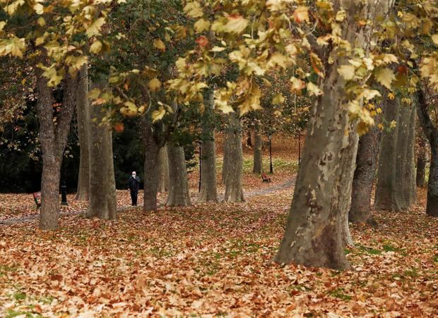 Gestionar la biomasa forestal para prevenir incendios y proporcionar energía.