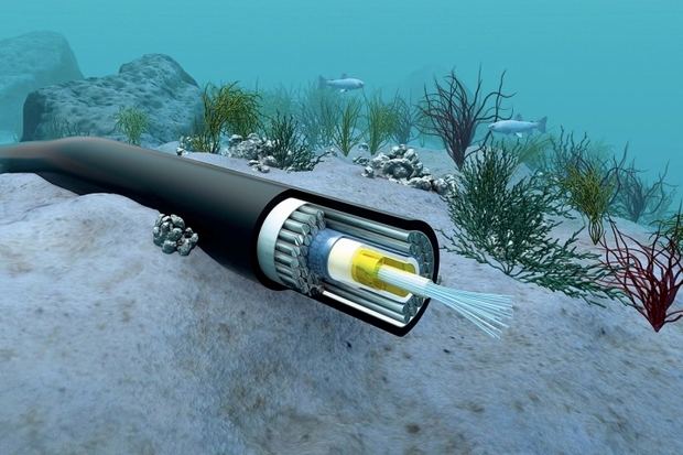 El cable ha sido diseñado para conseguir eficiencias significativas derivadas de la compartición de infraestructuras. Las cinco estaciones de amarre ya están listas y los trabajos de prospección submarina, en curso.