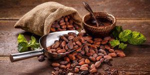 República Dominicana exportó 73,000 toneladas de cacao durante la temporada 2018 - 2019
 