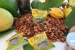 Incremento de la producción y comercialización de 3600 quintales de cacao anualmente.