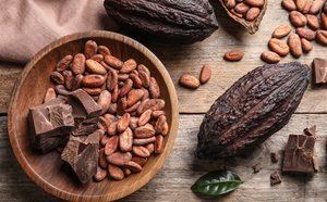 Gobierno se vuelca a recuperar el sector cacao