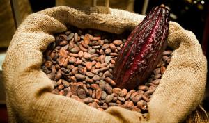 Humberto Estaba: Propone elevar el Cacao a 