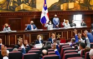 El Senado aprueba en primera lectura el Código Penal polémico por el aborto