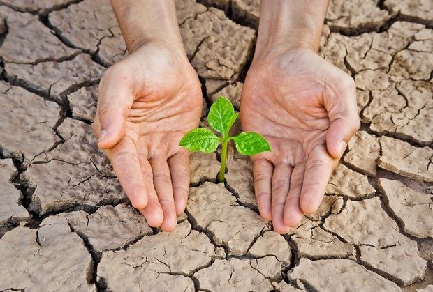 Cambio climático