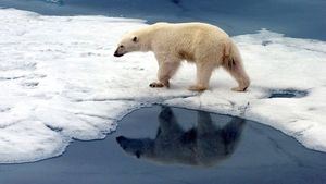 Fundeú Guzmán Ariza: «cambio climático», claves para una buena redacción