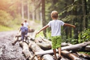 Los campamentos de verano con el medio ambiente