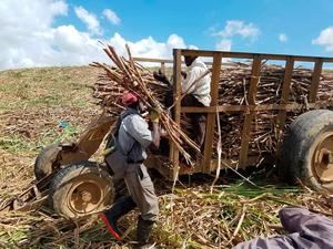 Trabajadores exigen poner fin al 