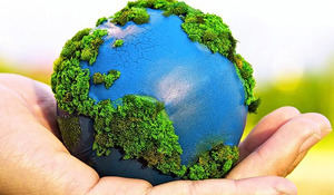 Día Mundial del Medio Ambiente: historia y compromiso por un futuro sostenible