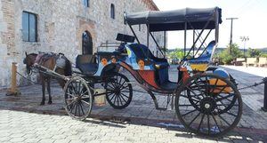 Carritos eléctricos sustituirán a los caballos en la Ciudad Colonial