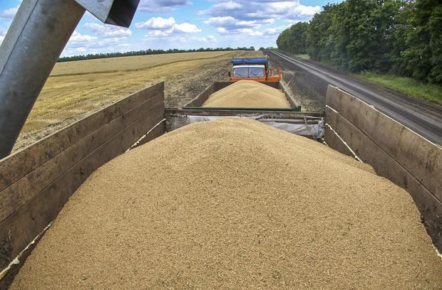 Ucrania afirma que dos tercios de su cereal van a Asia y África