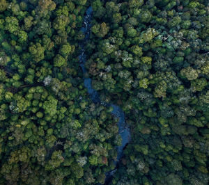 CEMEX anuncia estrategia ambiciosa para enfrentar el cambio climático