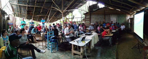Charla solenodonte