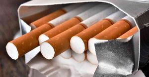 Decomisan cargamento de más de diez millones de cigarrillos de contrabando