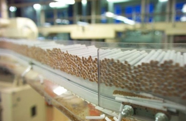 Producción de cigarros