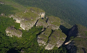Parque Nacional Natural Serranía de Chiribiquete