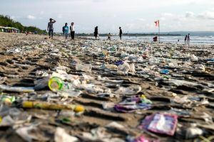 Conservación mediambiental, seis claves de la contaminación plástica 