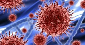 La supervivencia del coronavirus var&#237;a seg&#250;n humedad, temperatura y superficie
