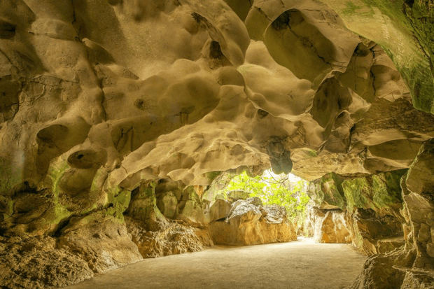 Cuevas de Pomier.