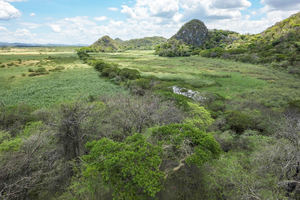 Costa Rica lanza una aplicación para fomentar visitas a parques nacionales