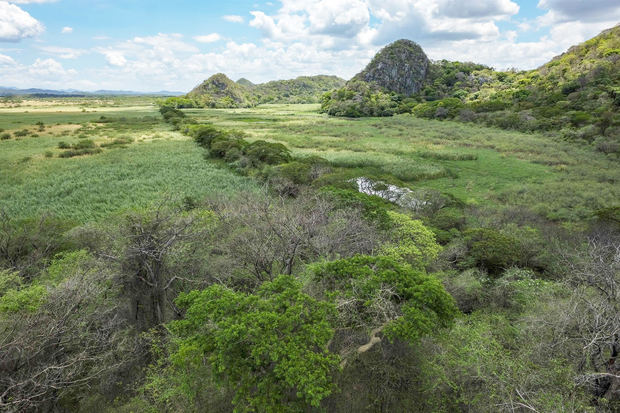 Fotografía que muestra el Parque Nacional Palo Verde, en Costa Rica.