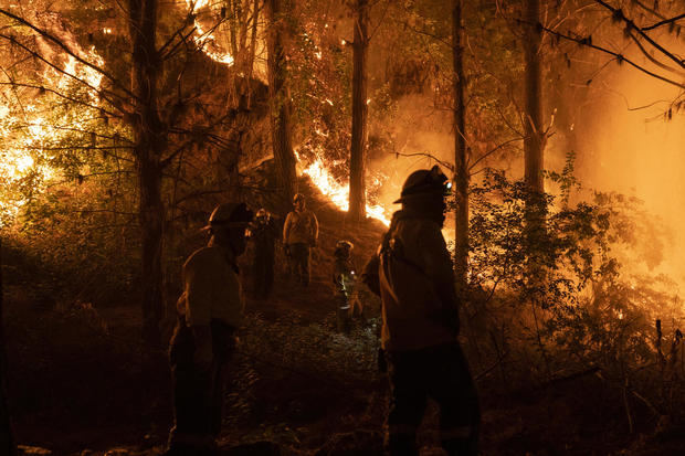 336.000 hectáreas arrasadas y 95 incendios sin control, según un nuevo informe
