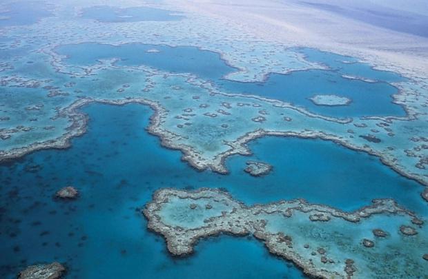 Declive histórico en la Gran Barrera de Coral