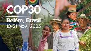 COP 30, Brasil