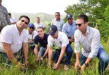 Jornada de reforestación. 