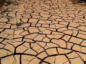 La sequía transformará al planeta