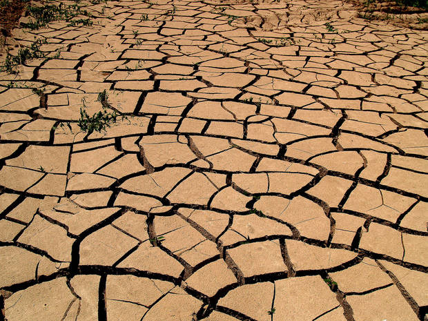 Las zonas semiáridas se han enfrentado a la desertificación