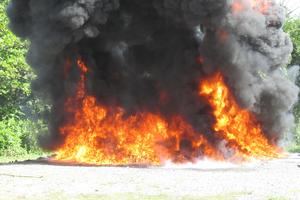 Procuraduría destruye 68 kilogramos de diversas drogas