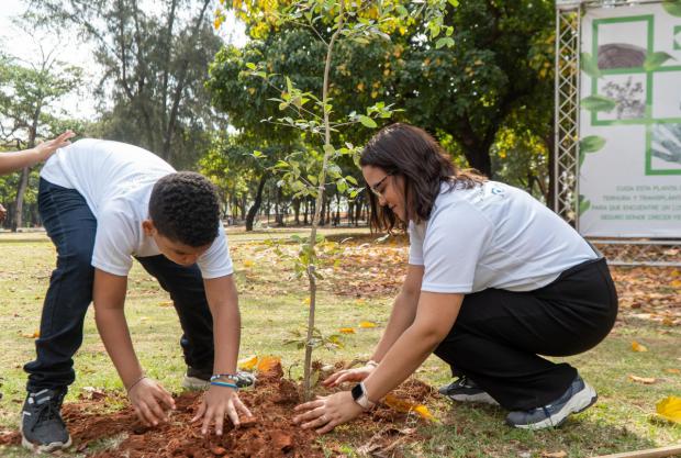 Dominicana de Seguros apuesta por el medioambiente con 'Dominicana Verde 2025'