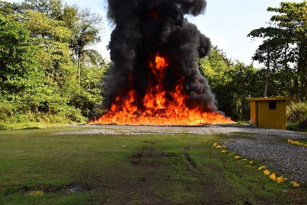 Los decomisos se hicieron entre el 4 y 11 de enero