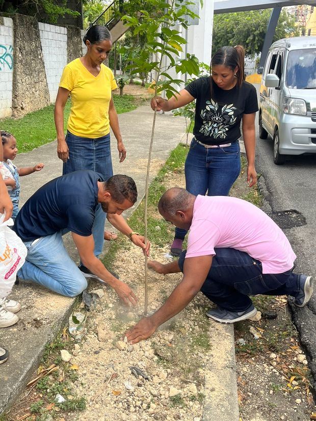 Miembros de la Fundación Ecológica Renacer y de la Alcaldía del Distrito Nacional durante la jornada de siembra de árboles en la Avenida Paseo de los Reyes Católicos, en el Distrito Nacional. 