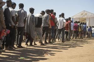 Cerca de dos millones de personas al borde de la hambruna en Etiopía, según la ONU