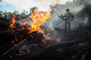 Los incendios vuelven a amenazar la Amazoní­a brasileña tras disparar en julio