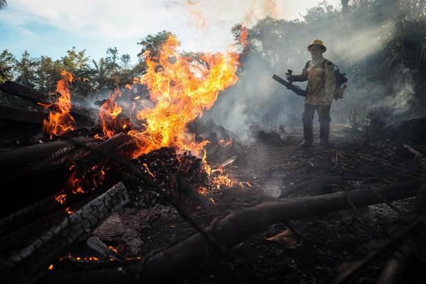 Tan solo el 30 de julio fueron contabilizados 1.007 focos en la selva amazónica, lo que supone el mayor número para el mes en los últimos 15 años. 